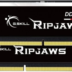 G.Skill RipJaws DDR5 SO-DIMM Series 32GB (2 x 16GB) 288-Pin SDRAM DDR5 5200 (PC4-41600) CL38-38-38-83 1.10V Dual Channel Desktop Memory Model F5-5200S3838A16GA1-RS (32GB (2 x 16GB))
