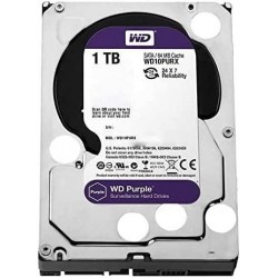 WD PURPLE 1 T.B